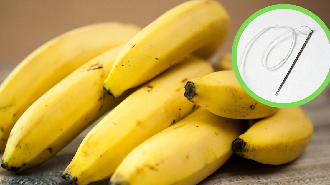 Banan i igła- Pyszności, źródło Canva