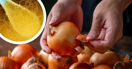 Łupiny cebuli niepotrzebnie lądują w śmietniku. Zobacz, jak je wykorzystać