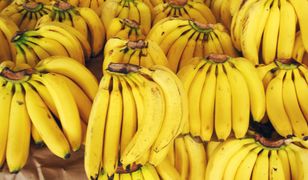 Kokaina przypłynęła w bananach. Bułgarzy ujawnili wielki przemyt