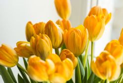 Dzień Matki 2019 – wyjątkowe życzenia na Dzień Matki. Wierszyki i rymowanki dla wszystkich mam