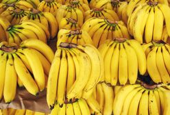 Naukowcy odkryli niezwykłą właściwość bananów