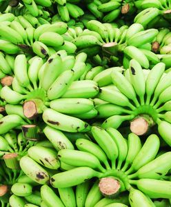 Zielone banany lepsze od żółtych?