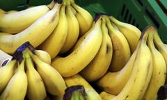 Wykałaczki w bananach w Biedronce i Lidlu. Trwa wyjaśnianie sprawy