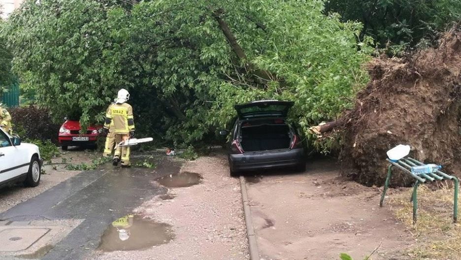 Warszawa. Po nawałnicy na Bielanach. Tak wygląda Słodowiec 