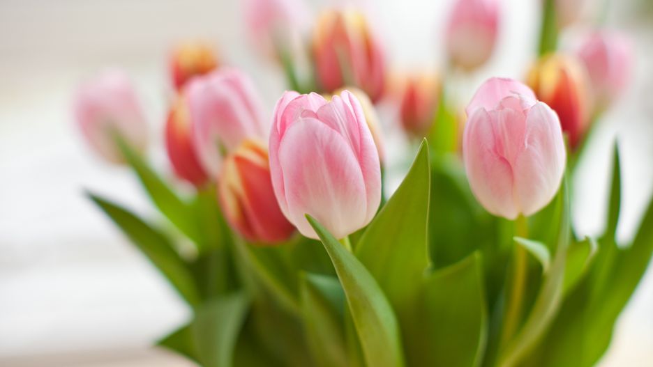 Dzień Matki 2019 - wyjątkowe życzenia z okazji święta wszystkich mam.