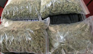 Warszawa. Nastolatek mieszkał w drogim hotelu, który miał opłacać pieniędzmi z handlu marihuaną