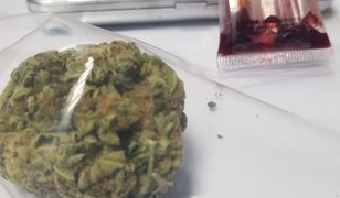 Wrocław. Twierdził, że jest w świecie Narnii i drzewa mu się kłaniają. Zatrzymali go policjanci