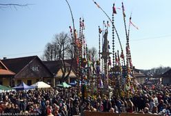 To miasto słynie z dużych palem. Największa miała ponad 32 metry