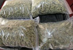 Warszawa. Nastolatek mieszkał w drogim hotelu, który miał opłacać pieniędzmi z handlu marihuaną