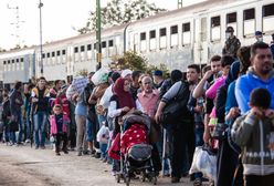Meksyk: zaginęli imigranci z Hondurasu
