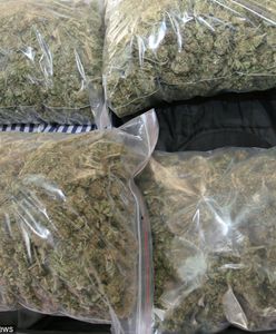 Warszawa. Nastolatek mieszkał w drogim hotelu, który miał opłacać pieniędzmi z handlu marihuaną