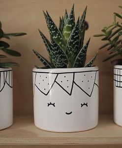 Pomysł na biznes: Ręcznie malowana porcelana