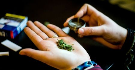 Wielka Brytania: Medyczna marihuana już dostępna w aptekach