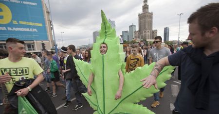 Marihuana medyczna legalna od 1 listopada. W praktyce, nadal będzie niedostępna
