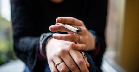 Legalizacja marihuany. Za jest nie tylko Lewica, ale i Konfederacja