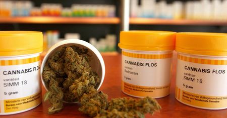 Medyczna marihuana. W aptekach znowu brakuje leków
