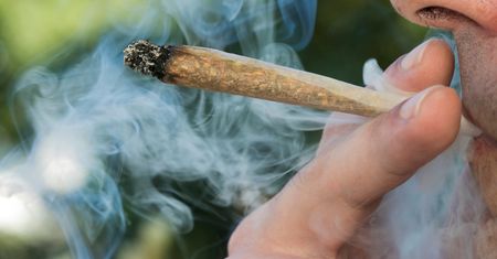 Kanada. Legalna marihuana to cios w branżę piwną