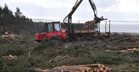 Przekop Mierzei Wiślanej. Komisja Europejska upomina Polskę