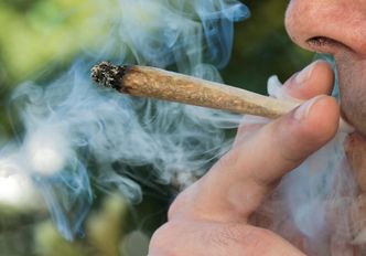Kanada. Legalna marihuana to cios w branżę piwną