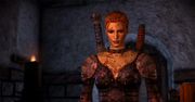 O, kolejny dodatek do Dragon Age