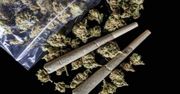 Marihuana postarza mózg o 3 lata