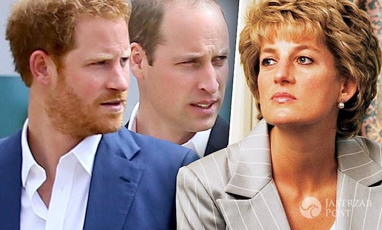 Księżna Diana, książę Harry i William