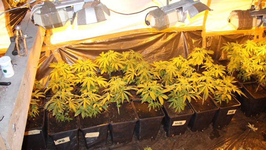 Zdjęcie ilustracyjne