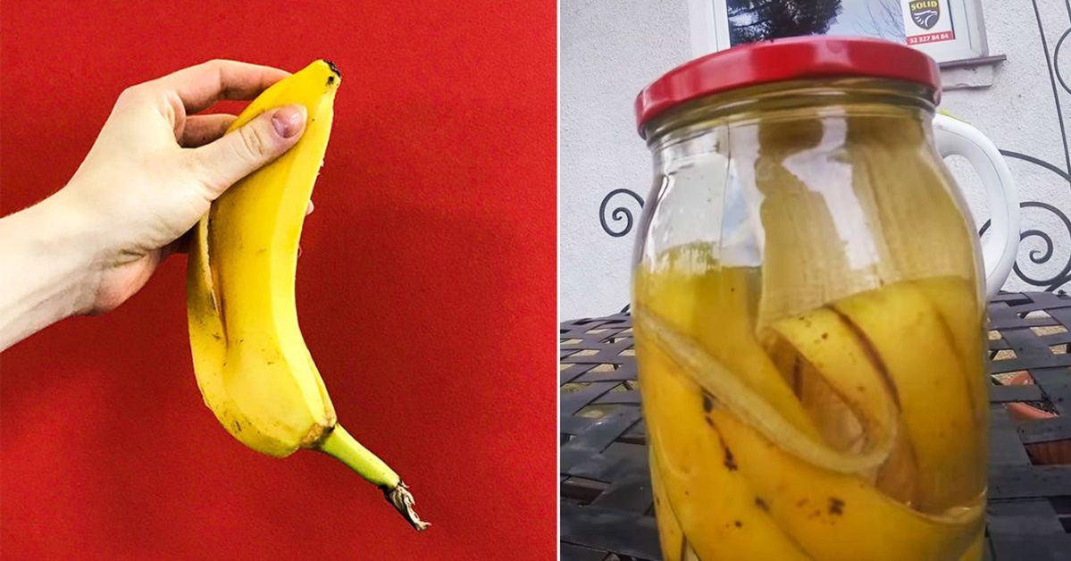 Banana Peel Is a Perfect Ingredient to Make a DIY Potted Plant Fertilizer