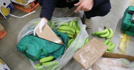 Czy uda się namierzyć polskich adresatów bananów z kokainą? Generał nie ma wątpliwości
