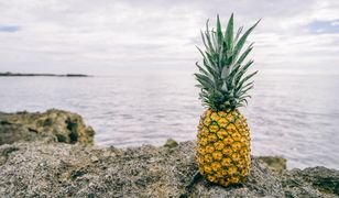 Ananas nowym owocem Millenialsów. Zdetronizował awokado