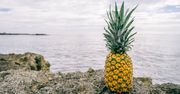 Ananas nowym owocem Millenialsów. Zdetronizował awokado