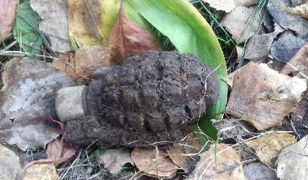 Pabianice: poszedł na grzyby, znalazł granat. Wyniósł go z lasu i położył przy drodze