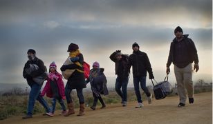 Zaskakujące wyniki sondażu. Polacy wolą wyjść z Unii niż przyjąć uchodźców