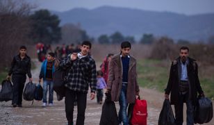 Szefowa Partii Postępu za przymusem nauczania migrantów języka norweskiego