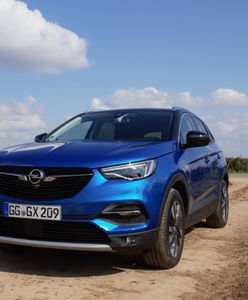 Opel Grandland X po pierwszych jazdach zaskoczył. Francuz z niemieckimi manierami