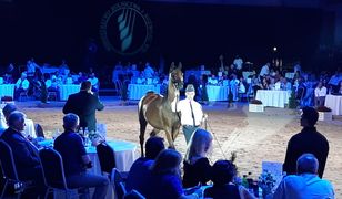 Polak kocha araba i tęskni za dumą. Po pół wieku został wstyd i żal