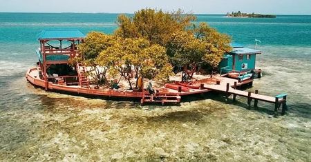 Bird Island. Bajeczna wyspa, na której można zapomnieć o całym świecie
