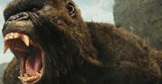 King Kong wyklęty. Jak po weekendzie wygląda polski box office? [PODSUMOWANIE]