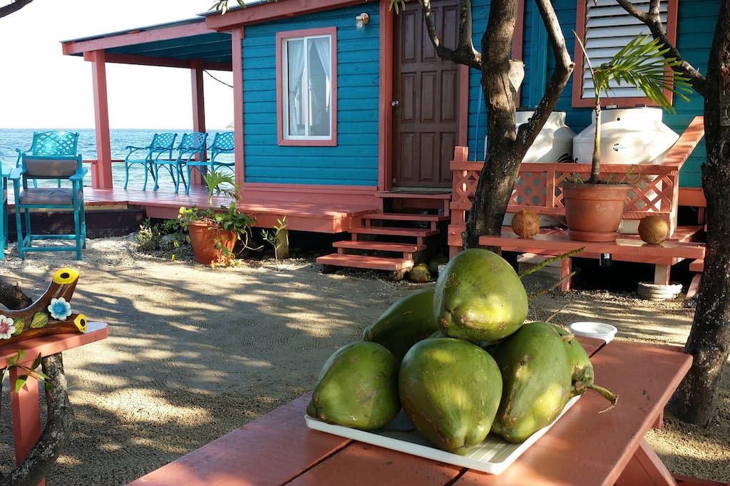 Bird Island – wynajmij sobie rajską wyspę