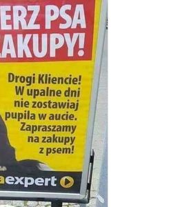 Nie zostawiaj psa pod sklepem. Sklepy rezygnują z tabliczki "zakaz wprowadzania psów"