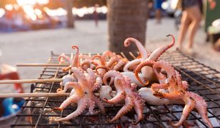 Street food. Najsmaczniejsza wycieczka dookoła świata