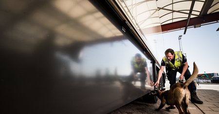 Polski kierowca aresztowany. Przemycał migrantów w chłodni