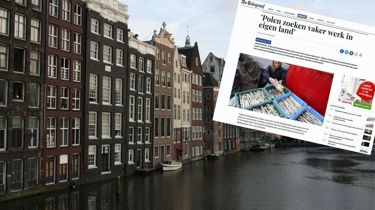 "Polacy coraz częściej szukają pracy we własnym kraju" - to tytuł z największej gazety w Holandii