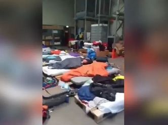 Niewolnicza praca Polaków w Wielkiej Brytanii. Dziennikarze "Superwizjera" pokazali mroczne kulisy emigracji