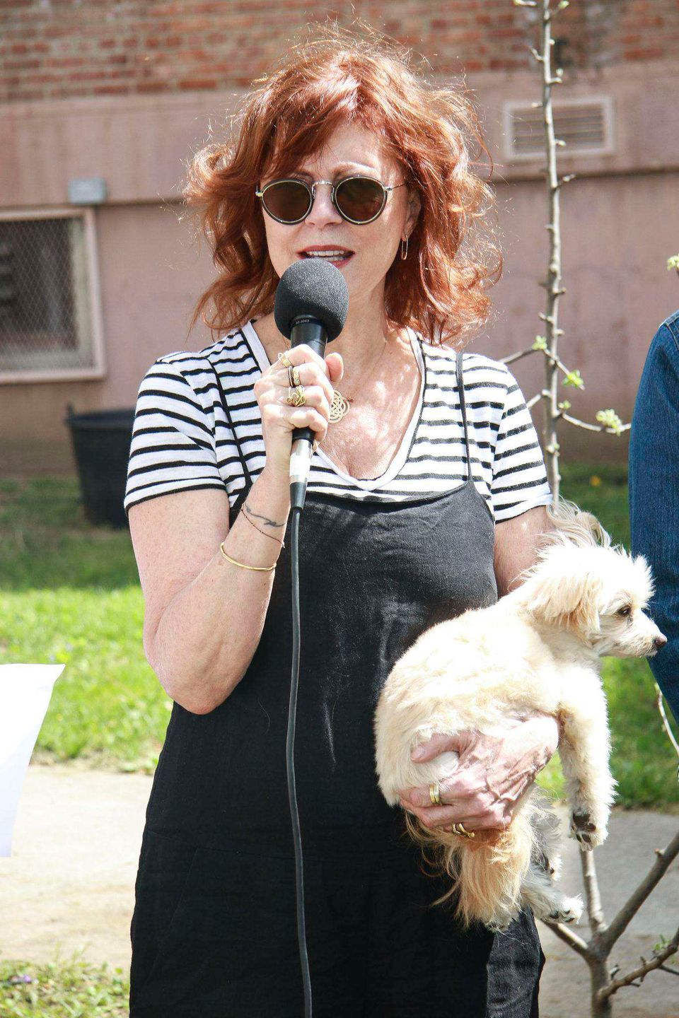 Susan Sarandon została aresztowana