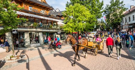 Zakopane oblegają tłumy turystów. I kwitnie szara strefa