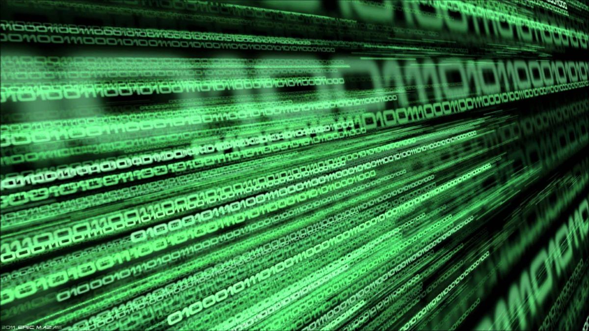 Wśród danych, które znalazły się na publicznym serwerze, były osobiste numery identyfikacyjne, numery telefonów, dane stanu cywilnego, informacje o wykształceniu czy przebiegu pracy zawodowej.