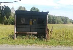 Nie śpiesz się, nie ucieknie. Niełatwo ruszyć w Polskę autobusem