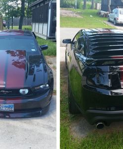 Ukradli mustanga, pamiątkę po zmarłej żonie. Mężczyzna nie mógł postąpić inaczej