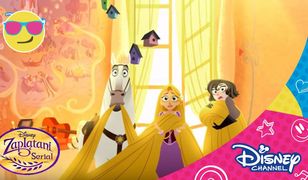 Zaplątani w serial czyli o... "Zaplątanych" Disneya